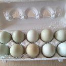 새온농원 이미지