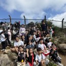 부산TIA태권도 이미지