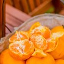 우산농장 이미지