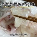 막썰어회도매센타 네이버블로그