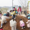 소리숲유치원 이미지