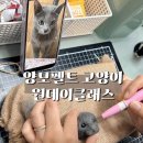 수해공방 | [양모펠트 원데이클래스 후기] 4×4인치 미니액자 '마루'