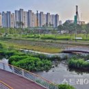 모아엘가A인근 이미지