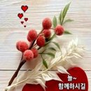 💐힘들때 힘이 나는 명언💐 이미지