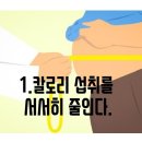 핫점핑다이어트 이미지