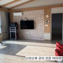 개판펜션2