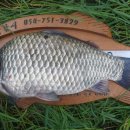 아화초등학교 이미지