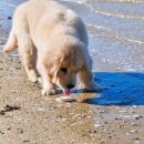 대신철물건재 | 그댄 춤을 추는 나무 같아요