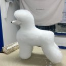 위그 뭘로 자르지?... 너만 보인단 말이야... ★