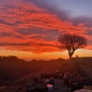 여명민박 이미지