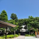 양천근린공원 책쉼터 | 25년 봄. 목동 용왕산근린공원 양천둘레길 산책과 용왕산작은책쉼터