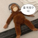 폭싹 놀았수다