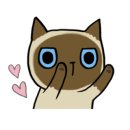 한림제약 노동조합 이미지