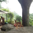 천시원교육농장 이미지