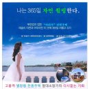 별장도초 이미지