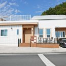 스테이매자미 이미지