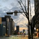 738 | 대한항공 오사카-인천 KE738 새벽비행기 탑승후기 (개빡셈)