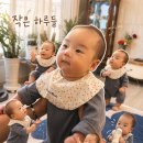 (주)씨오콤 | 마지막 강릉 일기 2026년 4월 마지막주 이야기