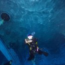 스쿠버월드 | 스쿠버다이빙 드라이슈트 추천 국산의 자존심 '아쿠아즈(Aquaz)' 내돈내산 후기 (기성사이즈 및 맞춤제작)