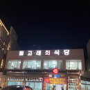 돌고래회식당 | 포항. 물회 근본 맛집 "돌고래 회식당" 강력추천 후기