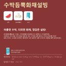 설빙 신메뉴 수박화채빙수 내돈내산 솔직후기 | 설빙 천호로데오