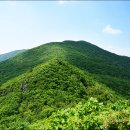 강원의얼 이미지