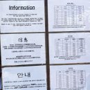 만타컴퍼니 - 남양주시 호평동 | [이시가키 5박 6일_셋째날] 이시가키 렌트카 예약 없이 당일 대여 성공!
