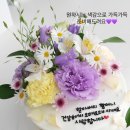 모모앤산격 이미지