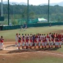 2014년11월 3일~ 11월 9일 회장기 전국초등학교 야구대회 (9일 결승전 광주 송정동초) 이미지