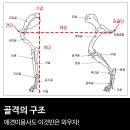 에스디애견미용학원