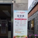🌾 [포천 한탄강 가든페스타] 서울근교 가을나들이｜아이랑 전기자전거 타고 꽃정원 산책 후기 🍂