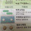 월성마디안의원 네이버블로그
