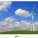 삼양목장 이미지