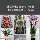 상이군경회 안양시지회 이미지