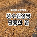 풍수원 성당 | 강원도 횡성 가볼만한곳, 풍수원성당 단풍의 끝자락을 만나다.