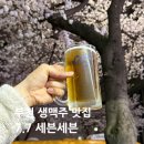 세븐 | [부천]도당동 20년 넘은 로컬 생맥주 맛집 찾았다 7.7 세븐세븐 후기