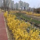 참(charm)행정사 사무소 이미지