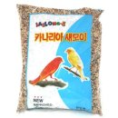 재롱펫