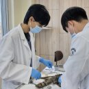 강원대학교 야생동물구조센터 이미지