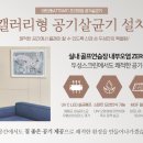 청명투 이미지