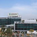 유한양행 이미지