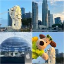 씨네파크우리약국 | [주씨네 in 싱가포르 #01] 차이나타운 / 멀라이언 파크 / 마리나 베이 샌즈 쇼핑몰 방문 리뷰