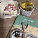 늘안아줄개 | 포근하게 너를 안아줄게