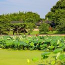 농업기술센터1층 화장실 이미지