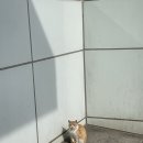 요하네스 논산점 네이버블로그