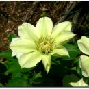 해여림식물원 이미지