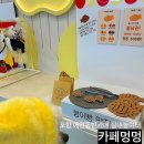 애견프라자 | 포항 실내애견카페 카페멍멍 이동 강아지 놀이터 내돈내산 솔직후기