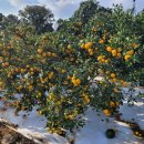 종철농장 이미지