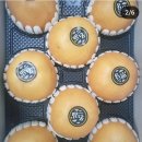 라온펜션호텔 이미지