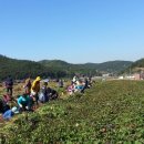 안포 농장 이미지